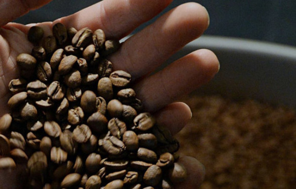 Master roaster
