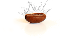 Flavoured roasted Bean